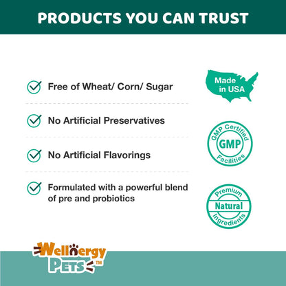 Wellnergy Daily Probiotic & Prebiotics Soft Chew for Dogs and Cats (60 Chews)