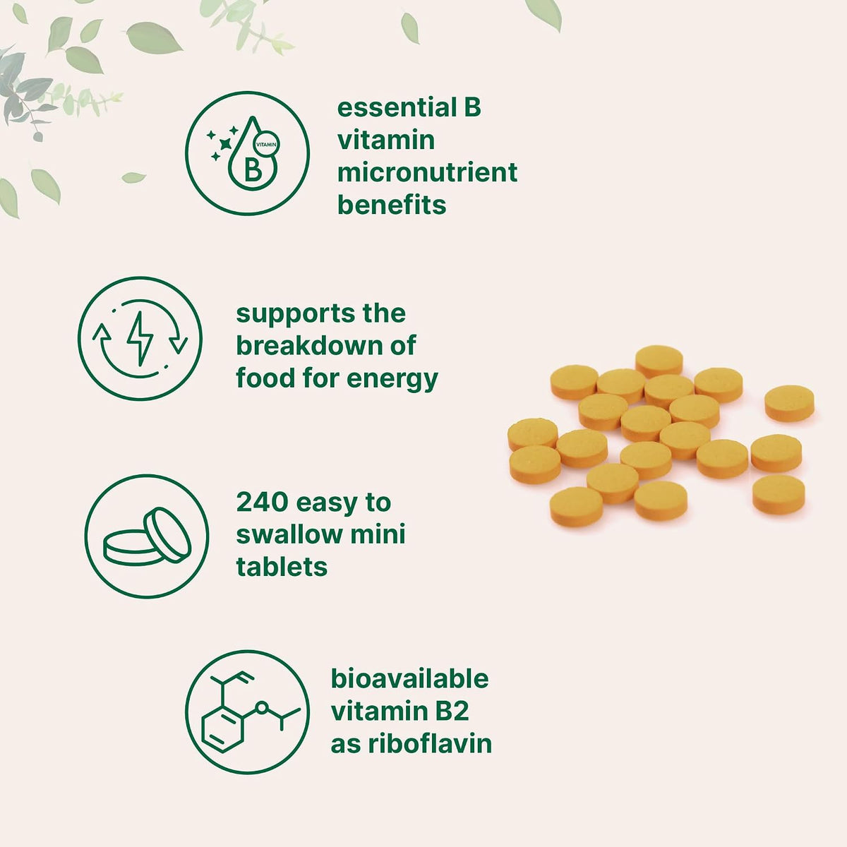 Micro Ingredients Riboflavin Vitamin B2, 400mg per Serving, 240 Mini Tablets - görsel 3