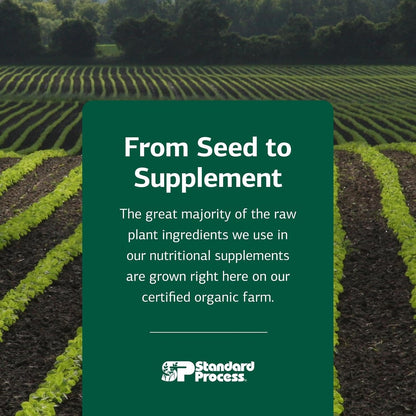 Standard Process Catalyn General Wellbeing Food Supplement - Non-Dairy & Non-Soy - 360 Tablets