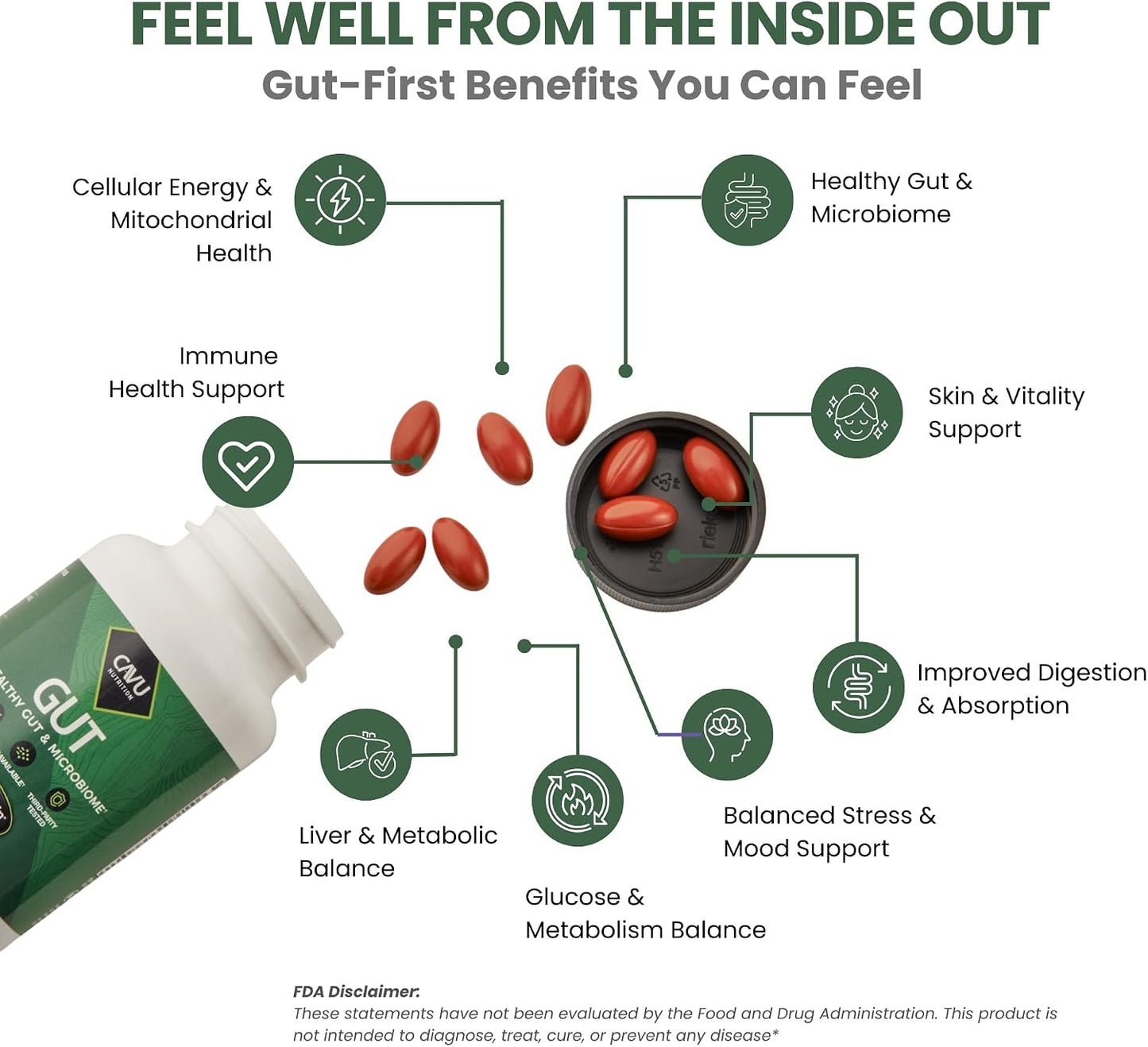 Gut Health Supplements for Healthy Digestion & Gut Repair | Advanced Formula with Bioavailable Black Seed Oil with 3% Thymoquinone | Gut Health Supplements for Women & Men | 60 Soft gel capsules - görsel 4