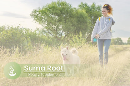 Pure Original Ingredients Suma Root, (100 Capsules) Always Pure, No Additives or Fillers, Lab Tested