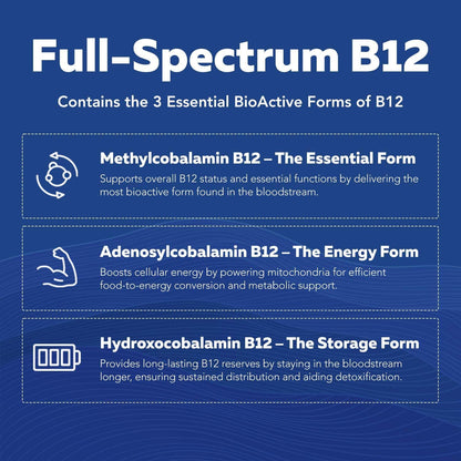 BioActive Vitamin B Complex - Blood Stream Ready, Methylated B Complex - Featuring Methylfolate, 3 BioActive Forms of B12, – Image 6