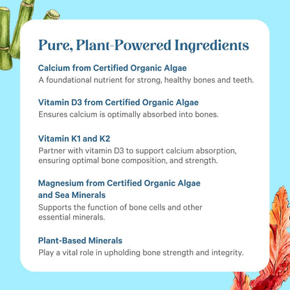 PURE SYNERGY Bone Renewal | Bio-available Calcium with Cofactors | Natural, Vegan Supplement with Vitamin D3, K2, Magnesium & Boron | for Lasting Bone Strength (150 Capsules)