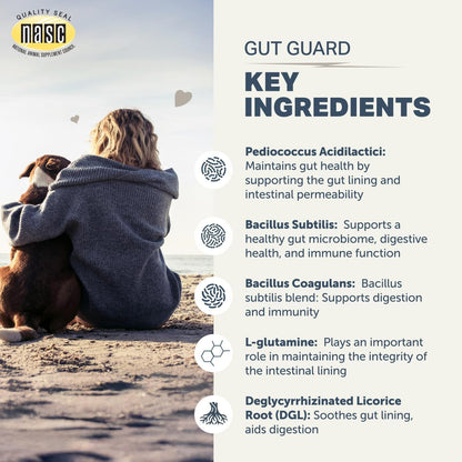 Four Leaf Rover Gut Guard - Dog Probiotics, Prebiotics and Organic Herbs for Gut Health and Immune Support - 30 Day Large Dog Supply