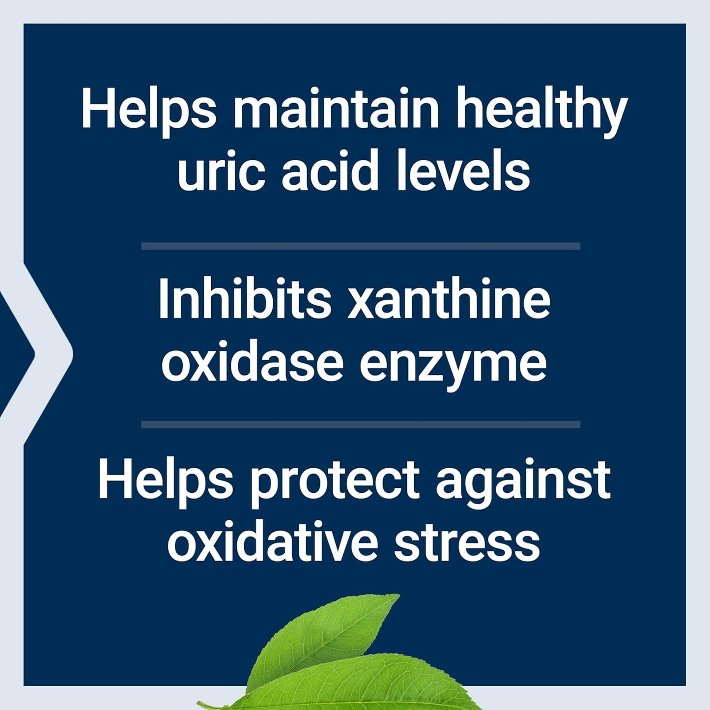 Life Extension Uric Acid Control - görsel 4