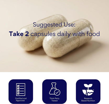 Research Verified Brain Booster – Nootropic Supplement for Memory and Focus – 60 Vegan Capsules