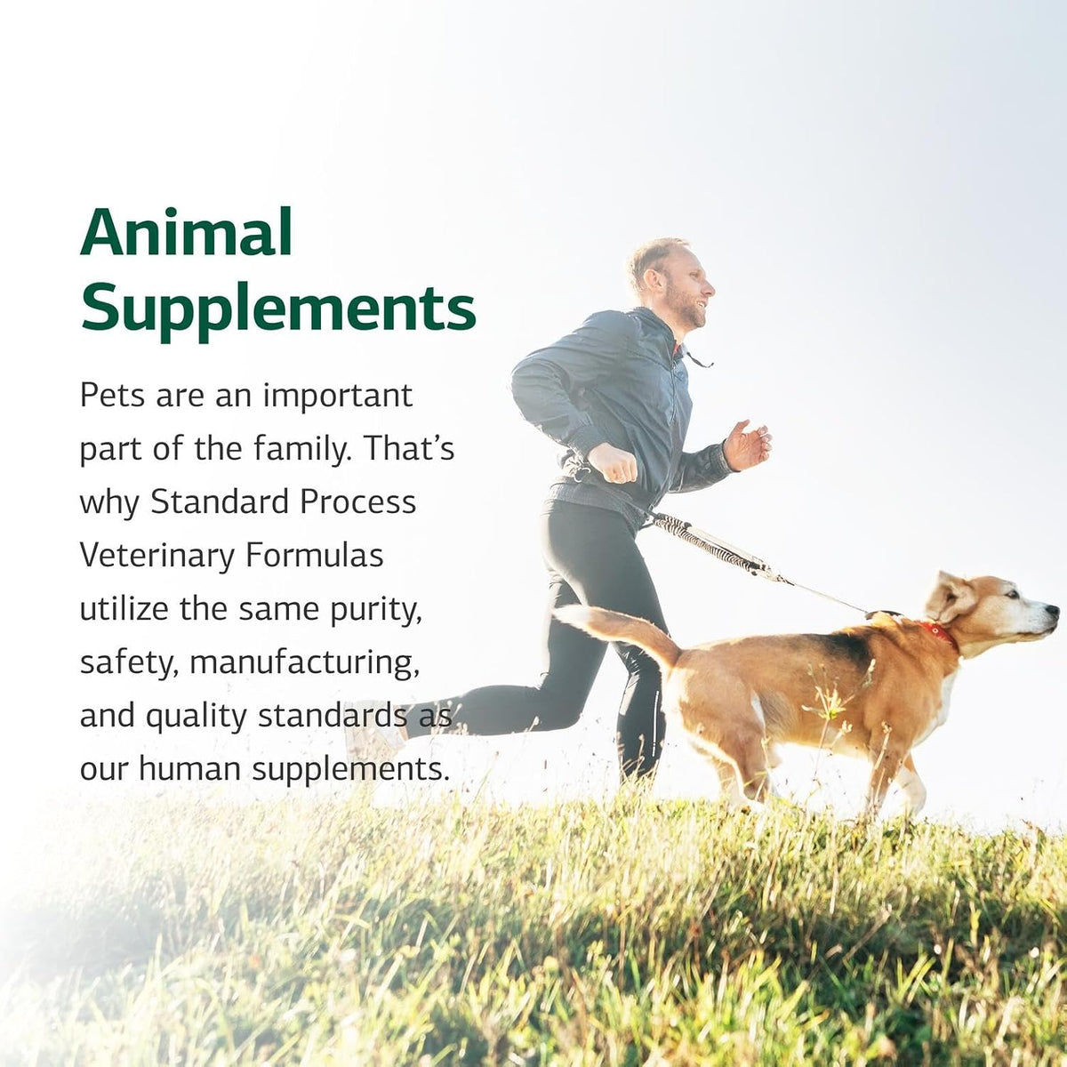 Standard Process Canine Immune Support - Powder Supplement for Dogs with Zinc and Kelp - görsel 6