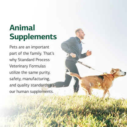 Standard Process Canine Immune Support - Powder Supplement for Dogs with Zinc and Kelp