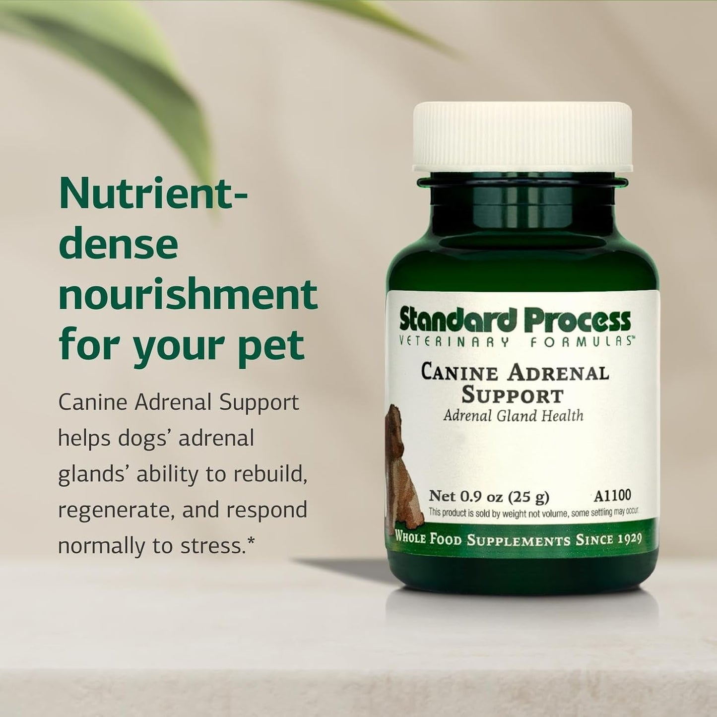 Standard Process Canine Adrenal Support - Nutritional Supplement for Dogs, 25g Powder - görsel 3
