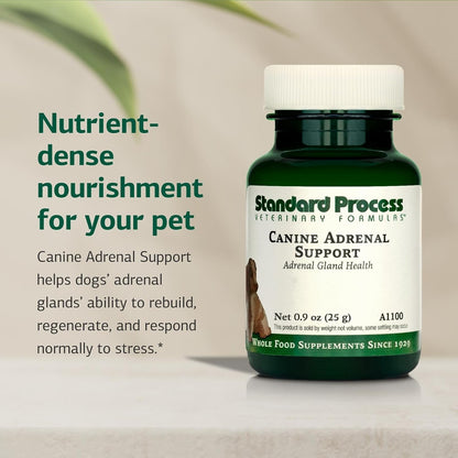 Standard Process Canine Adrenal Support - Nutritional Supplement for Dogs, 25g Powder