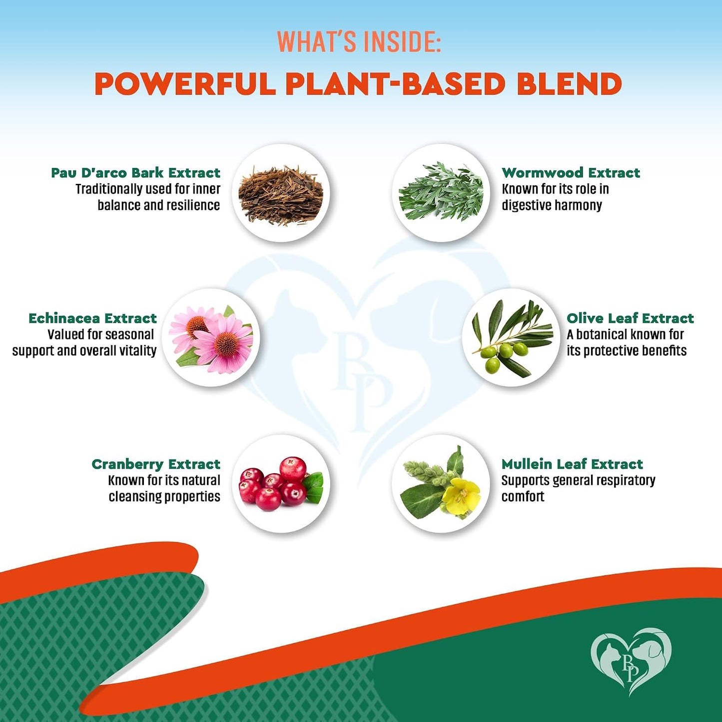 Beloved Pets Natural Herbal Supplement for Dogs and Cats - Supports Urinary, Respiratory, Digestive & Immune Health - görsel 3