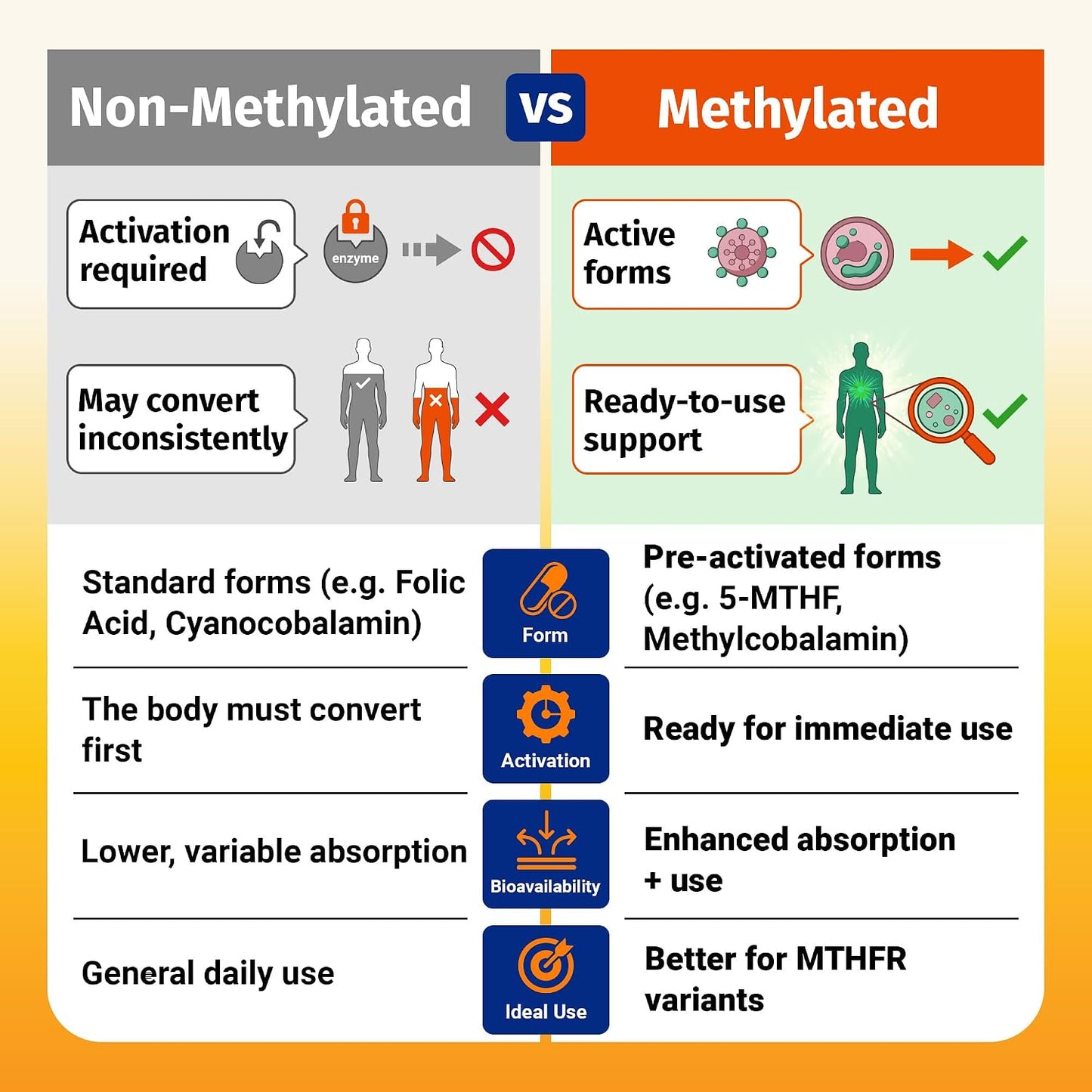1 Body Methylated B Complex, 5-MTHF Folate & Methyl B12, Twin Pack - görsel 2