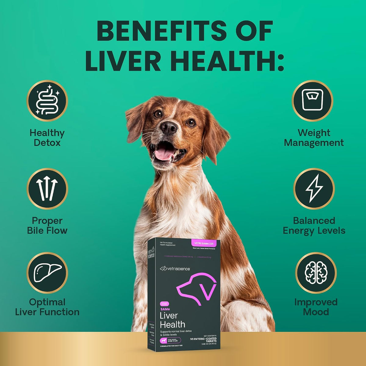 VetriScience SAMe Liver Health Tablets, 225 mg, for Medium and Large Breed Dogs, 30 Tablets - görsel 7