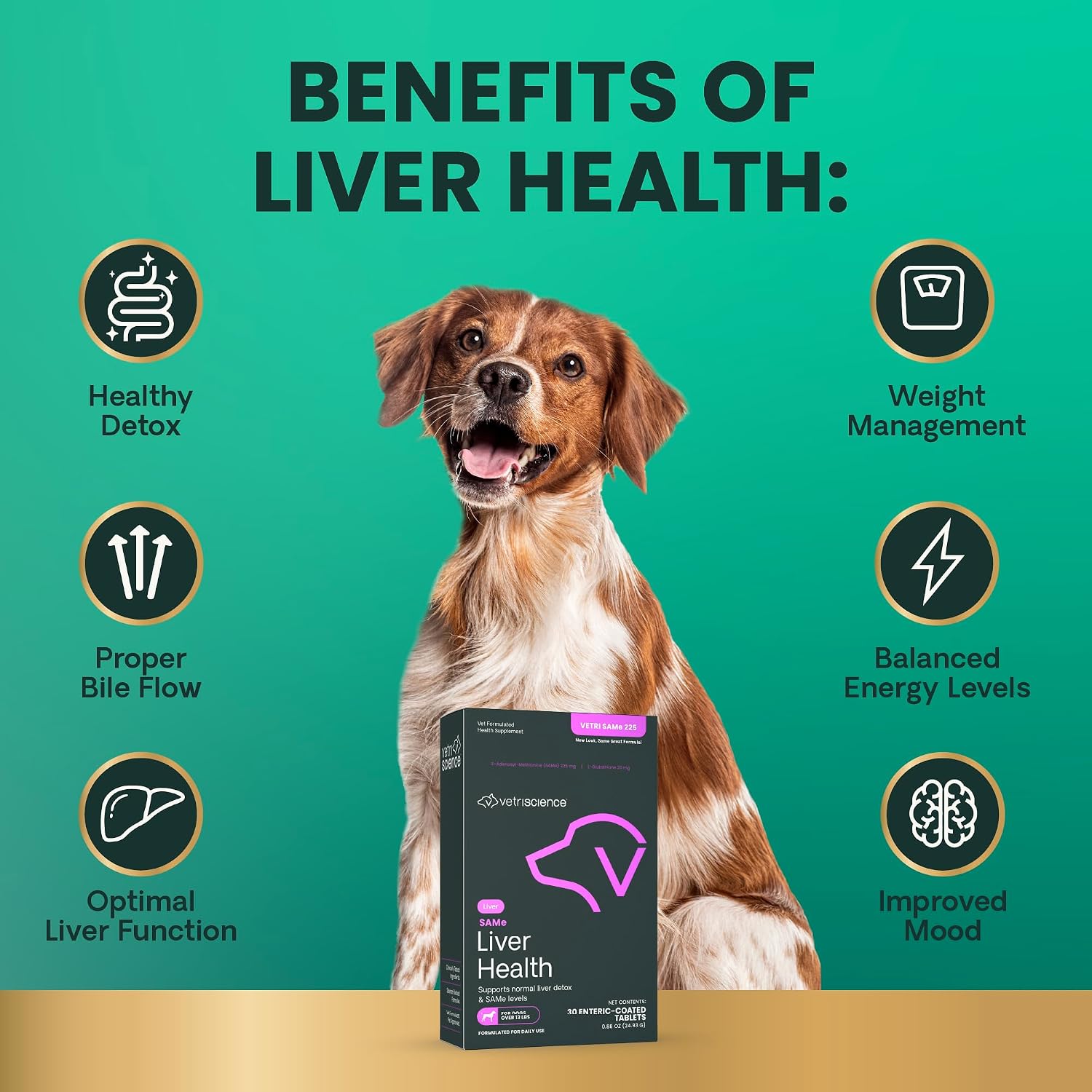 VetriScience SAMe Liver Health Tablets, 225 mg, for Medium and Large Breed Dogs, 30 Tablets - görsel 7