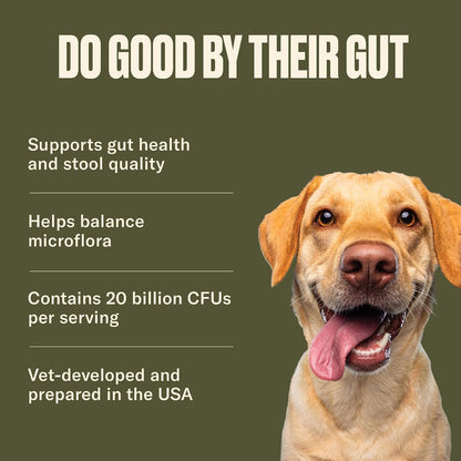 Nom Nom Dog GI-Targeted Probiotic Support - with Prebiotic Fibre, Inulin, and Saccharomyces boulardii - Gut Health Dog Probiotics for Gastrointestinal and Digestive Support (GI Powder)