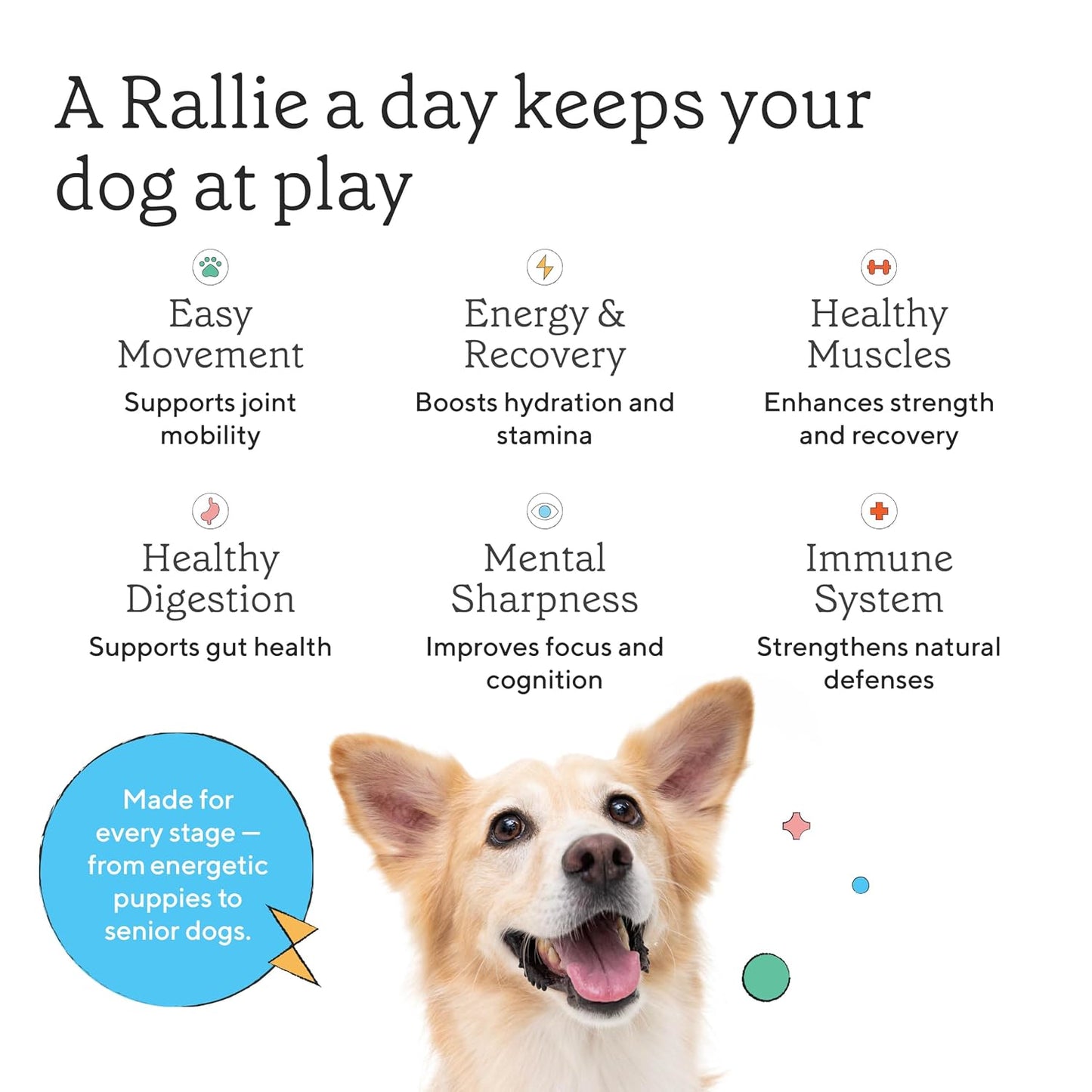 Rallie Peanut Butter Flavoured Hydrogen Water for Dogs with Electrolytes, Glucosamine, and B Vitamins - 500ml 6 Pack - görsel 5