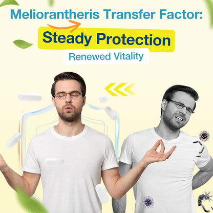 Transfer Factor 1800mg | Colostrum and Egg Yolk Extracts with Zinc and Selenium | Immune and Cognitive Support | 90 Capsules