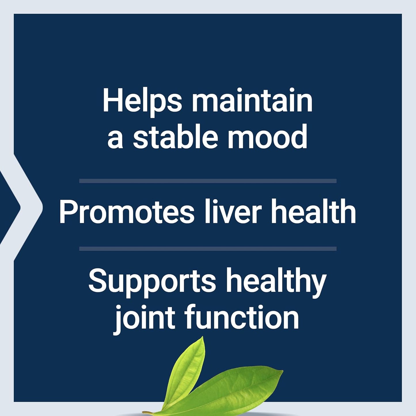 Life Extension SAMe - Mood, Joint & Liver Support, 30 Tablets - görsel 4