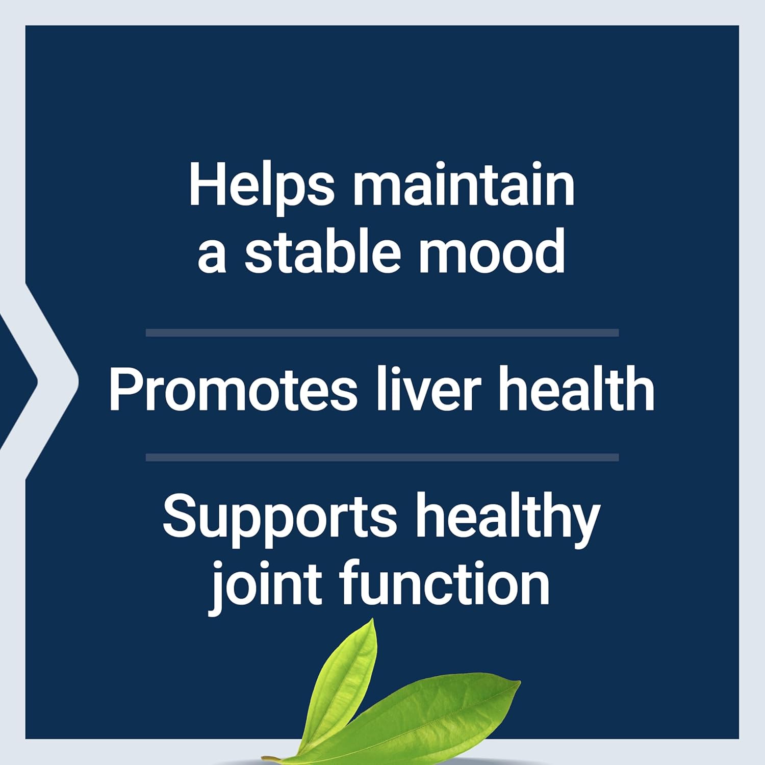 Life Extension SAMe - Mood, Joint & Liver Support, 30 Tablets - görsel 4
