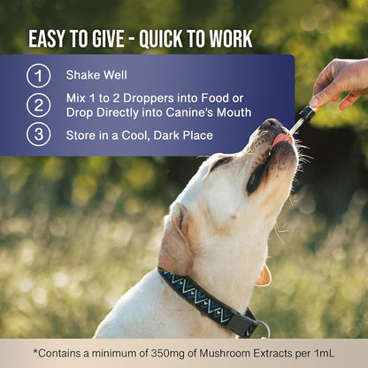 MycoDog Breathe - Respiratory Support for Dogs - Natural Mushroom & Ashwagandha Drops for Breathing Comfort
