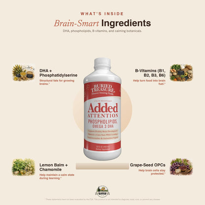 Buried Treasure Added Attention – Children's Learning Support with GABA, DHA, Vitamin B and Herbal Blend