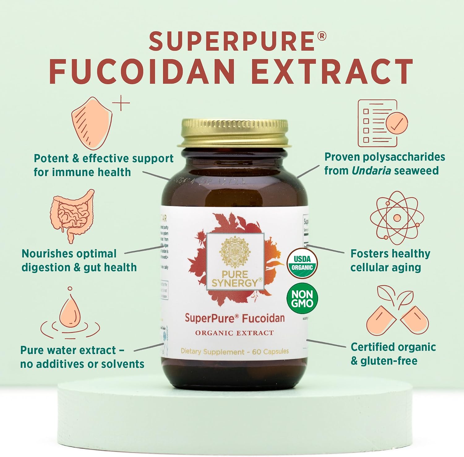 PURE SYNERGY SuperPure Fucoidan Extract – Organic Brown Seaweed, 60 Capsules - görsel 3