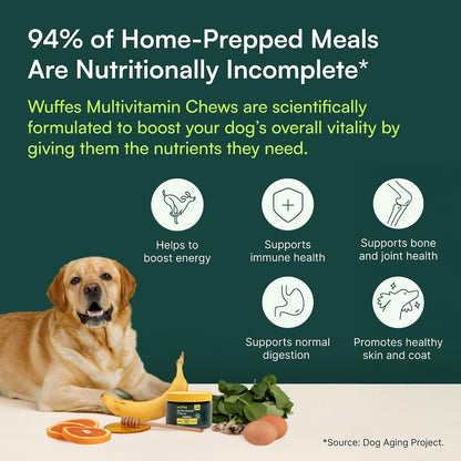 Wuffes 23-in-1 Dog Multivitamin Soft Chews - Skin, Coat, Immune & Gut Health Support (30 Count)