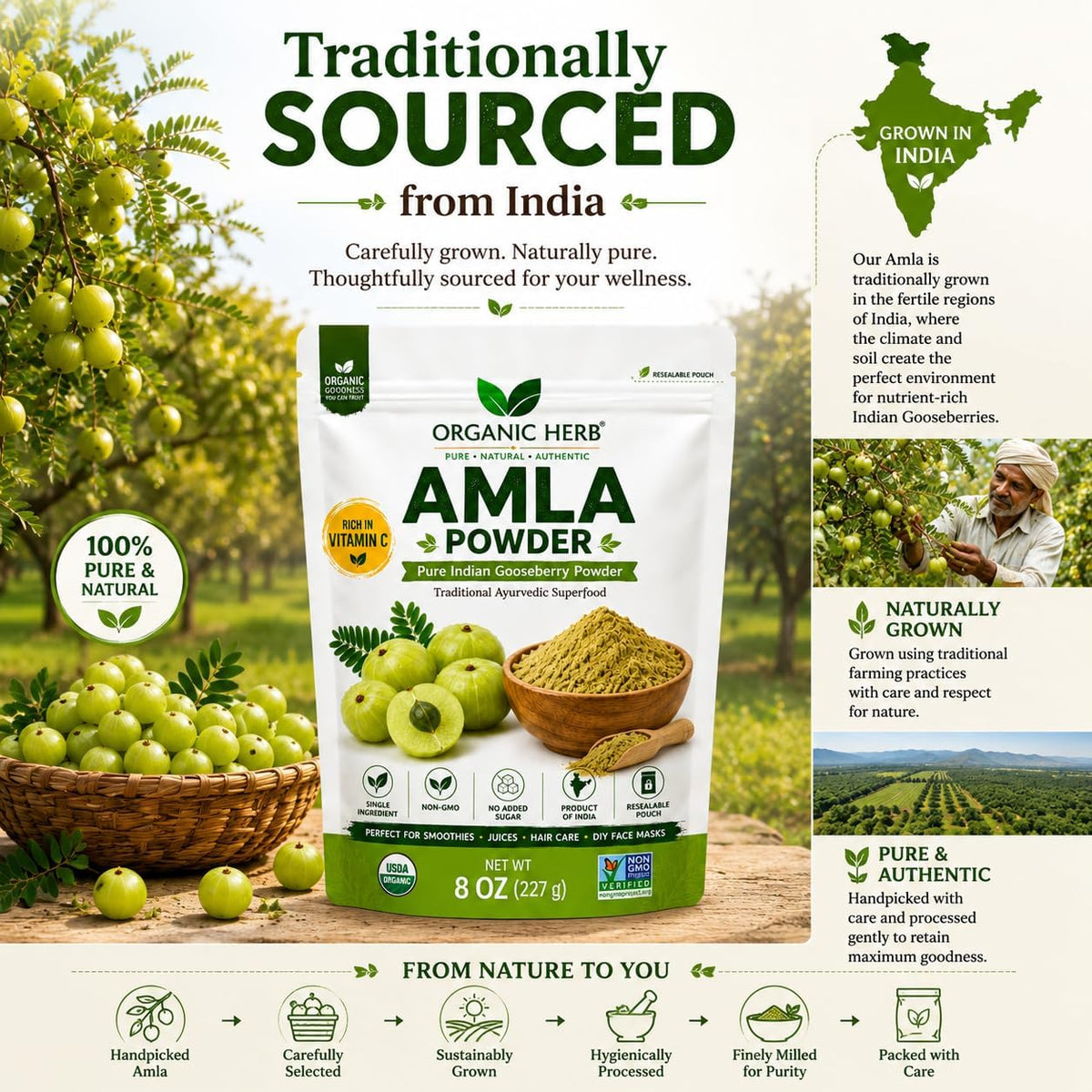 Organic Amla Powder - Pure Indian Gooseberry Vitamin C Supplement for Immune Support and Skin Health - 227 g - görsel 3