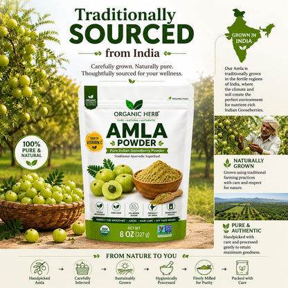 Organic Amla Powder - Pure Indian Gooseberry Vitamin C Supplement for Immune Support and Skin Health - 227 g