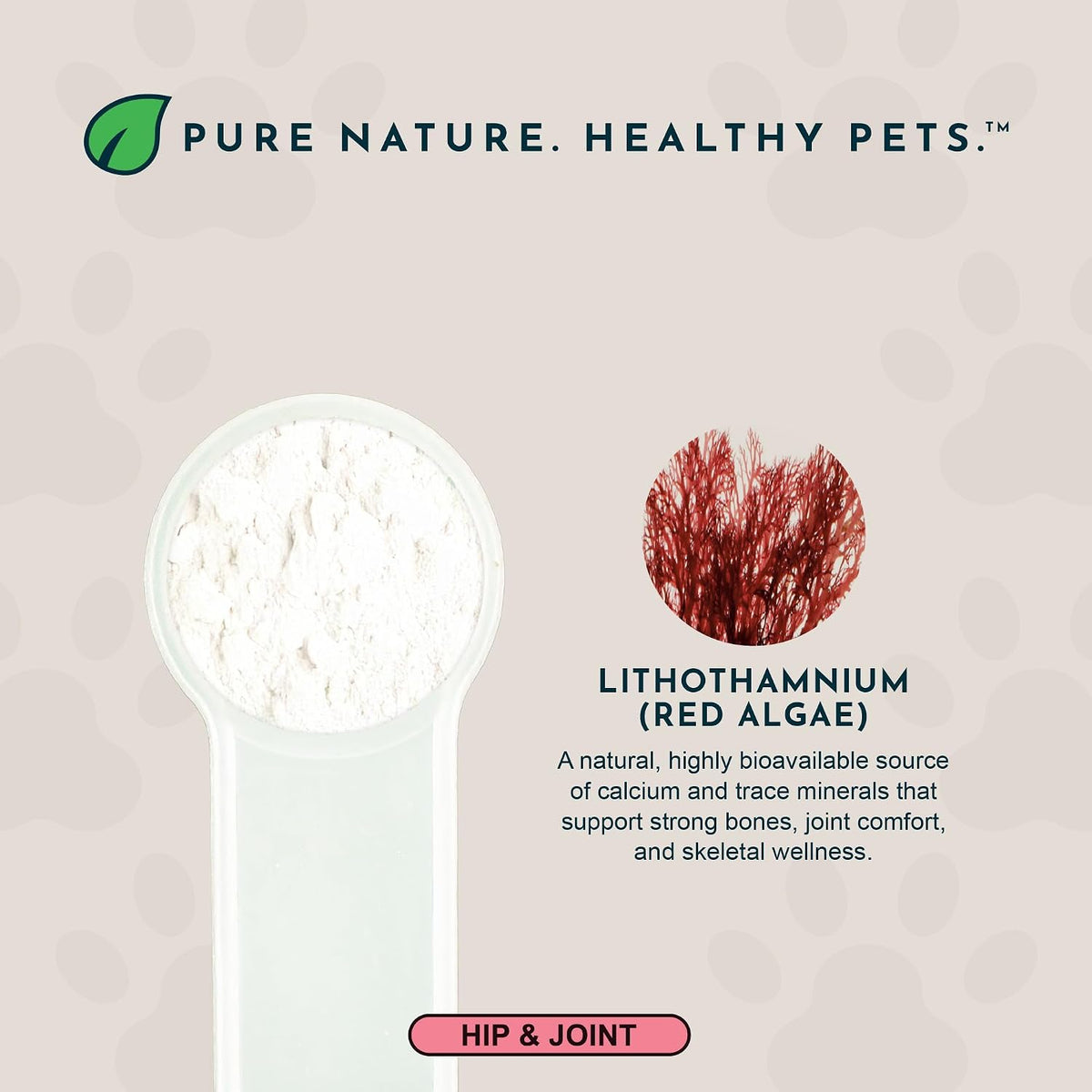 Sea-Cal Pure Seaweed Calcium Powder for Dogs – Natural calcium from Icelandic seaweed – free from synthetic – Image 4