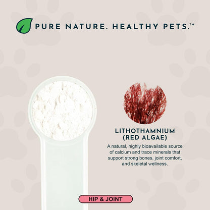Sea-Cal Pure Seaweed Calcium Powder for Dogs – Natural calcium from Icelandic seaweed – free from synthetic – Image 4