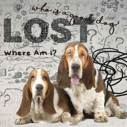 The Blissful Dog Basset Hound Age Well Spray Aromatherapy