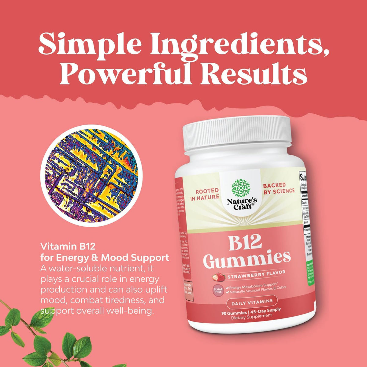 Natures Craft Vitamin B12 Gummies – Sugar-Free, 1000 mcg, 90 Count - görsel 3