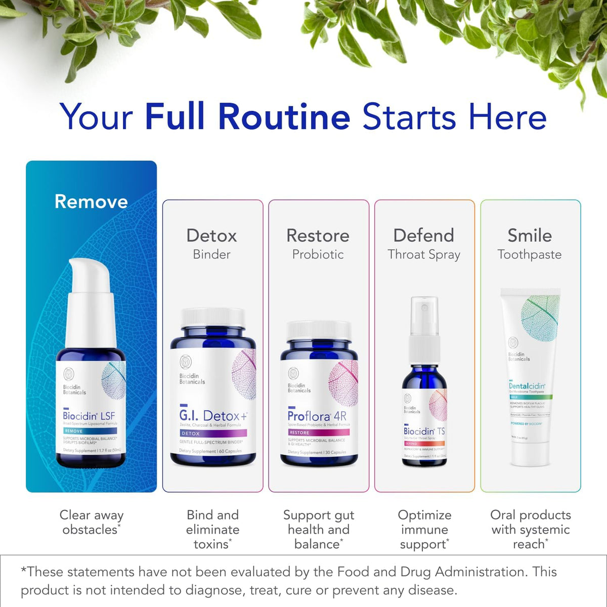 Biocidin LSF - Liposomal Formula for Gut Cleanse, Detox & Biofilm Defence - görsel 6