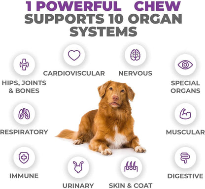 MAX Dog Multivitamin - Senior & Adult Dog Vitamins 10 in 1 Complete Support