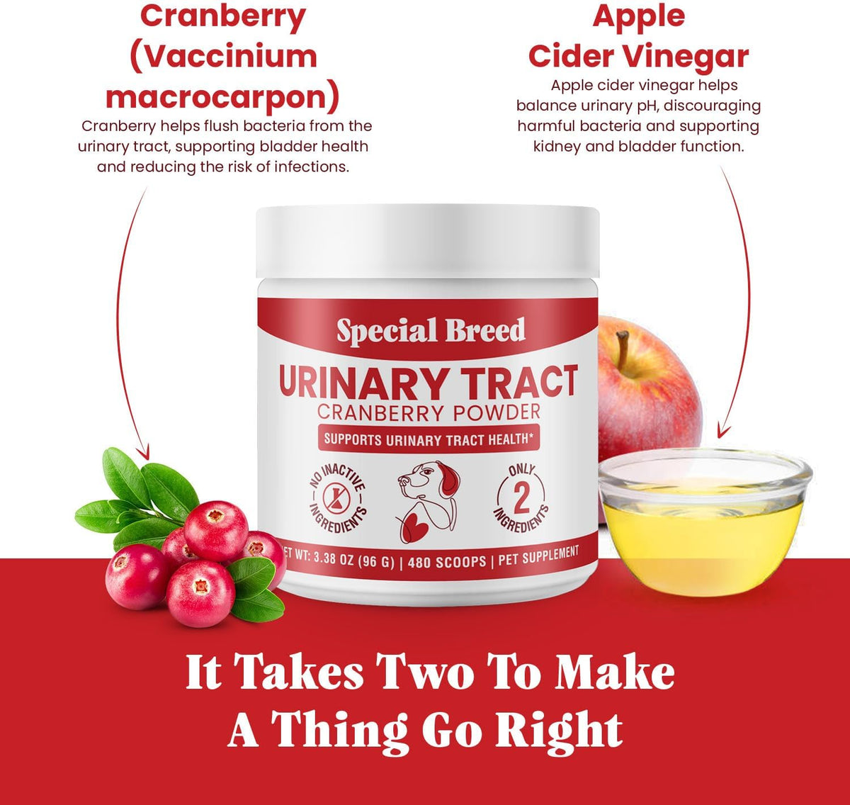 UTI & Urinary Tract Treatment for Dogs – Cranberry Powder for Bladder and Kidney Health – Helps Frequent Urination and Incontinence – Natural Dog UTI Support Supplement – Made in USA - görsel 2