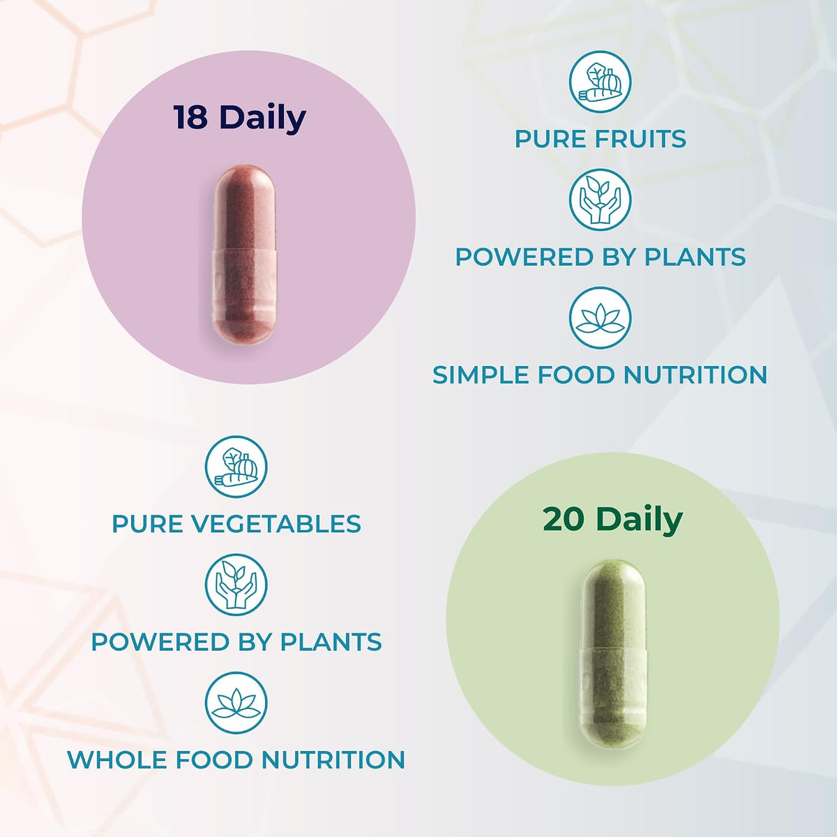 Youngevity 18 Daily Super Fruit Blend & 20 Daily Super Veggie Blend - görsel 5