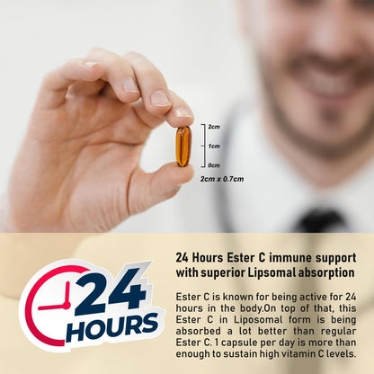Procapsin Liposomal Ester C - Superior Absorption Vitamin C Supplement (60 Capsules)
