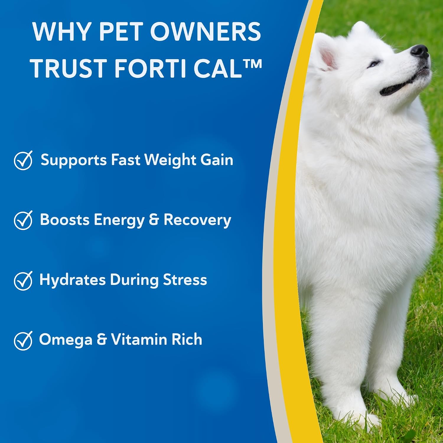 Doc Roy's Forti Cal Liquid - High Calorie Energy Supplement for Dogs, Cats, Horses, Livestock - 1 Gallon (3.78 L) - görsel 2