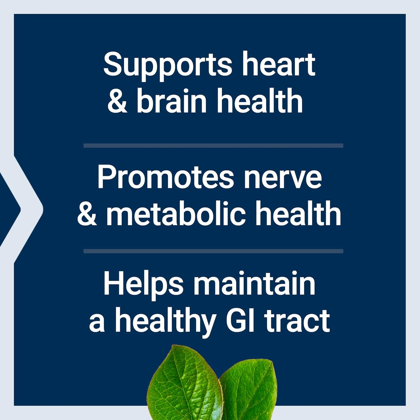 Life Extension BioActive Folate & Vitamin B12 - 90 Capsules - görsel 4