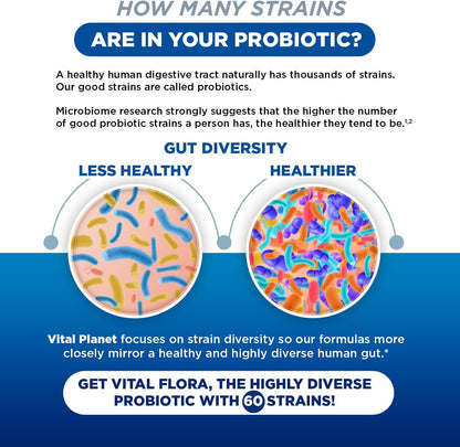 Vital Planet - Vital Flora Women’s Daily Probiotic 60 Billion CFU