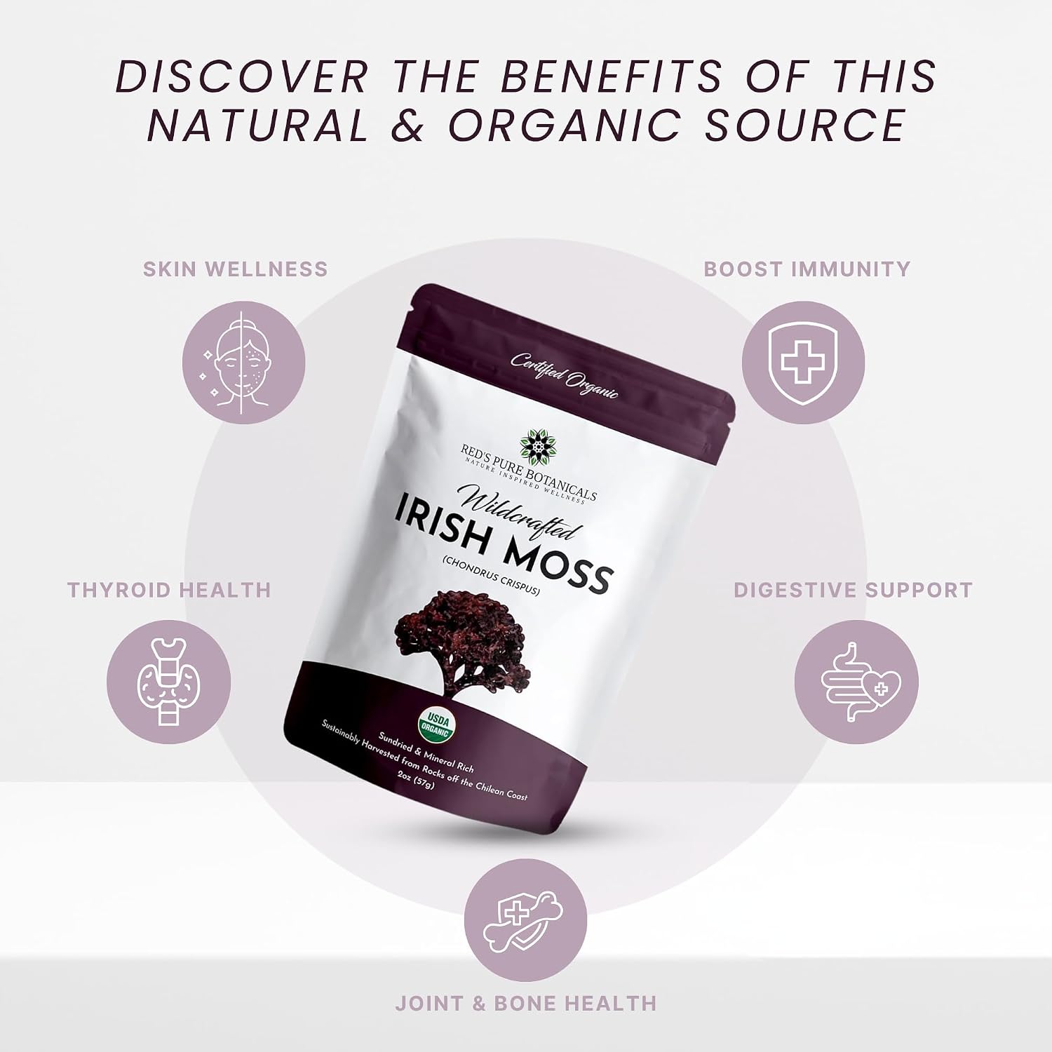 USDA Organic Irish Sea Moss (Purple) - Wildcrafted Chondrus Crispus - Sustainably Harvested from Chile - Makes Approximately 2.8 Litres of Gel - Red's Pure Botanicals - görsel 3