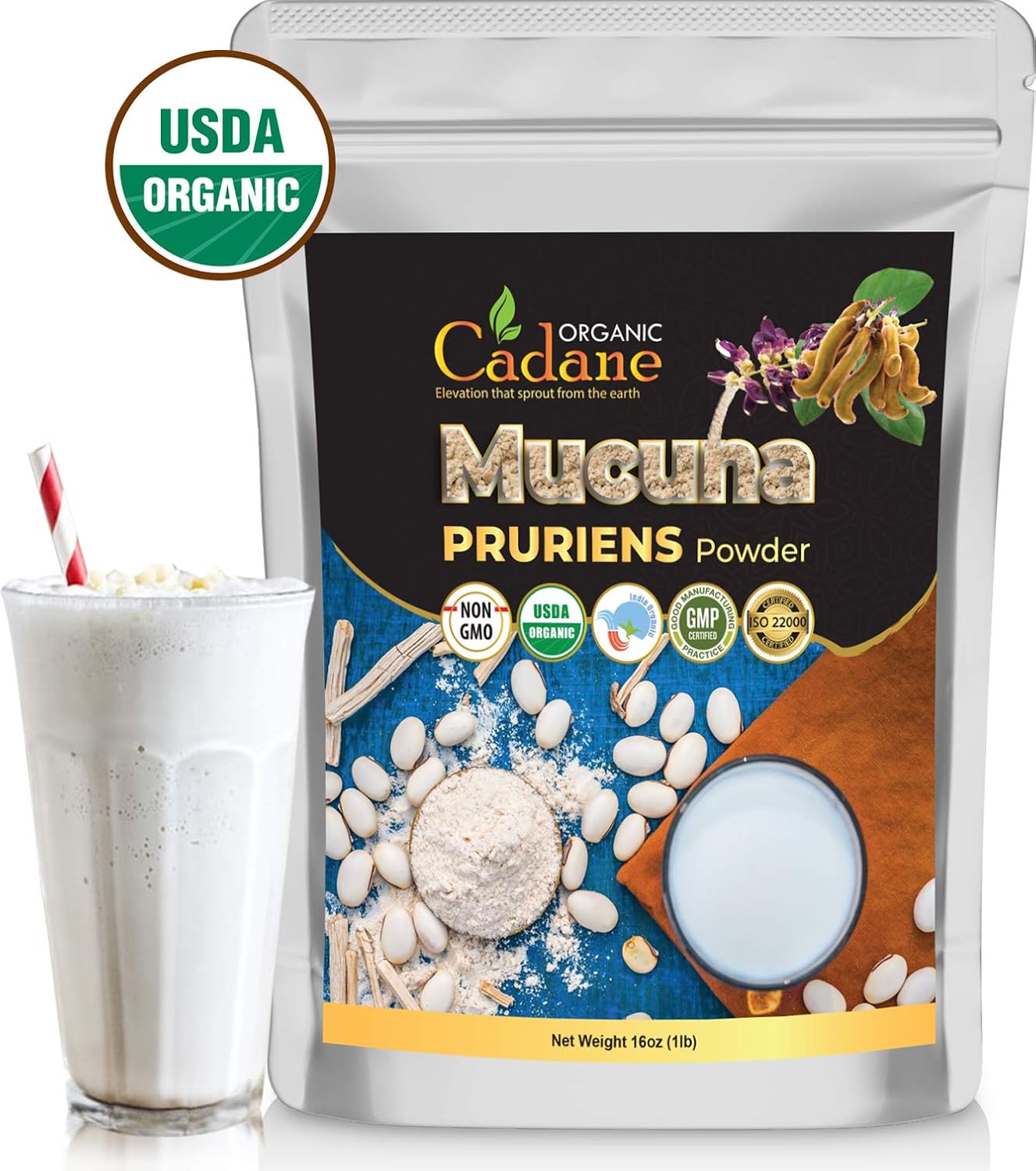 Organic Cadane Mucuna Pruriens Powder - 454g (1lb) - Certified Organic, Vegan & Non-GMO - görsel 6