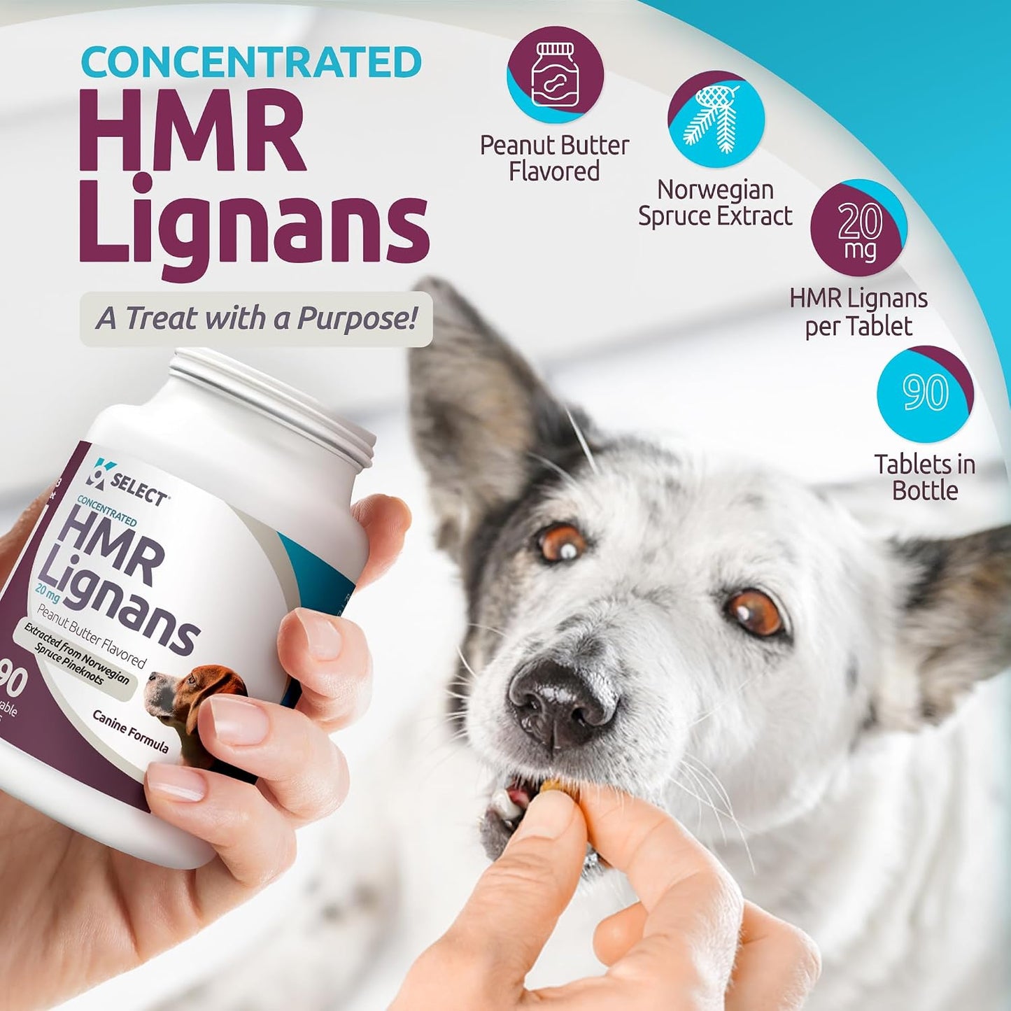 K9 Select HMR Lignans for Dogs – 20mg Norway Spruce Extract, 90 Tablets (Peanut Butter) - görsel 2
