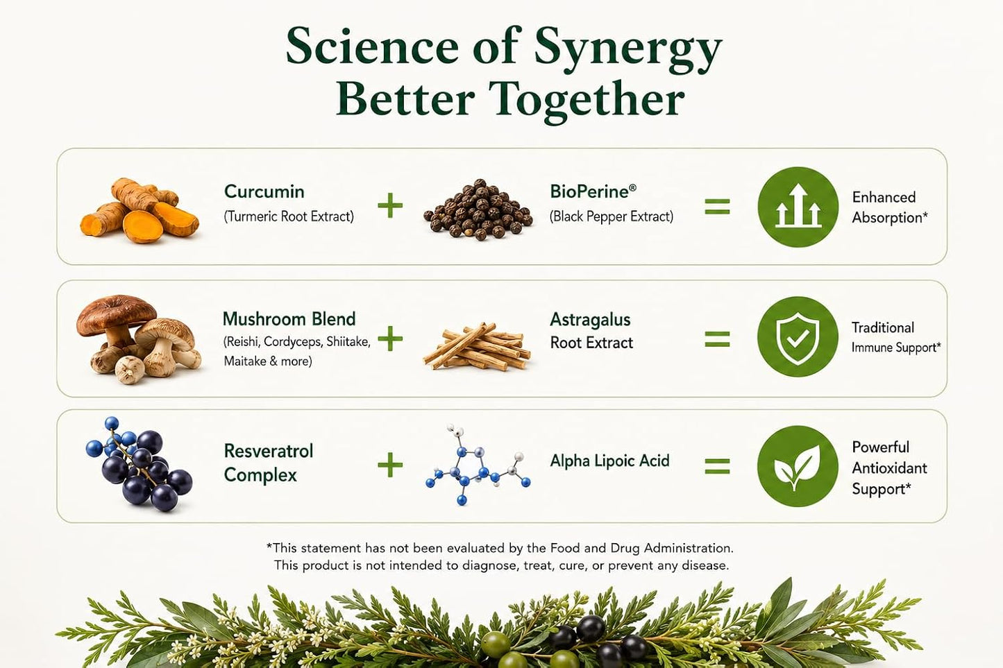 Green Organic Supplements Lyme Disease Immune System Support - görsel 5