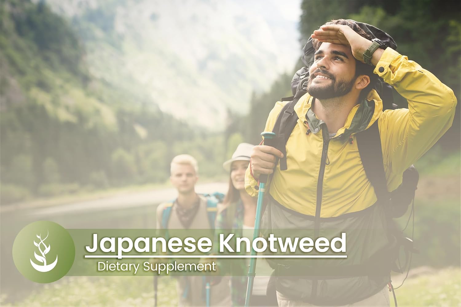 Pure Original Ingredients Japanese Knotweed, 100 Capsules - görsel 5