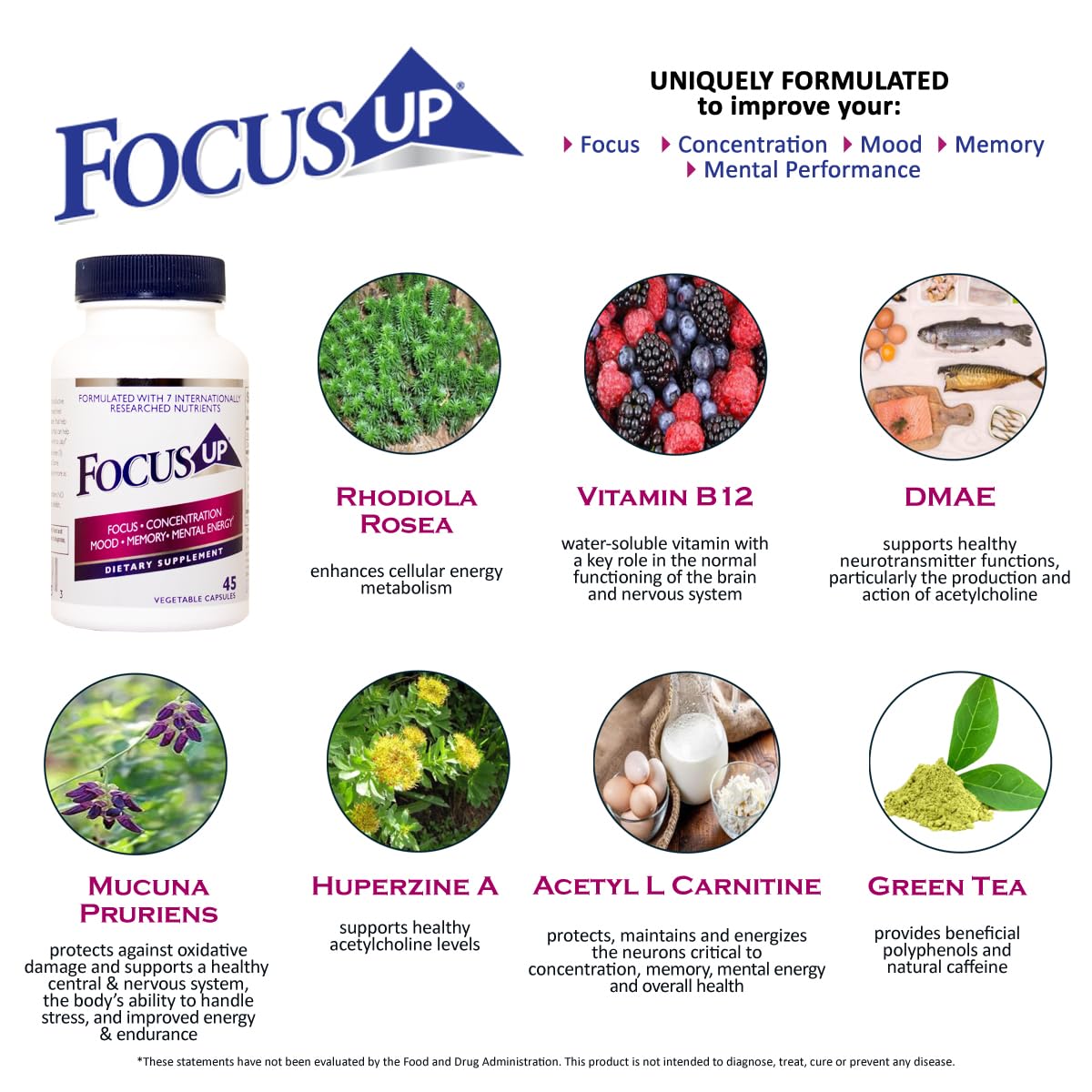 FocusUP Brain & Energy Support Supplement – Natural Nootropic Capsules - görsel 3