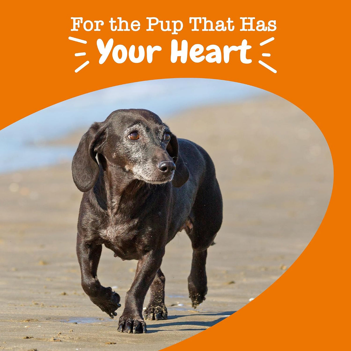 Zesty Paws Cardiovascular Support for Senior Dogs - Taurine & CoQ10 Heart Health Chews - 90 Count - görsel 6