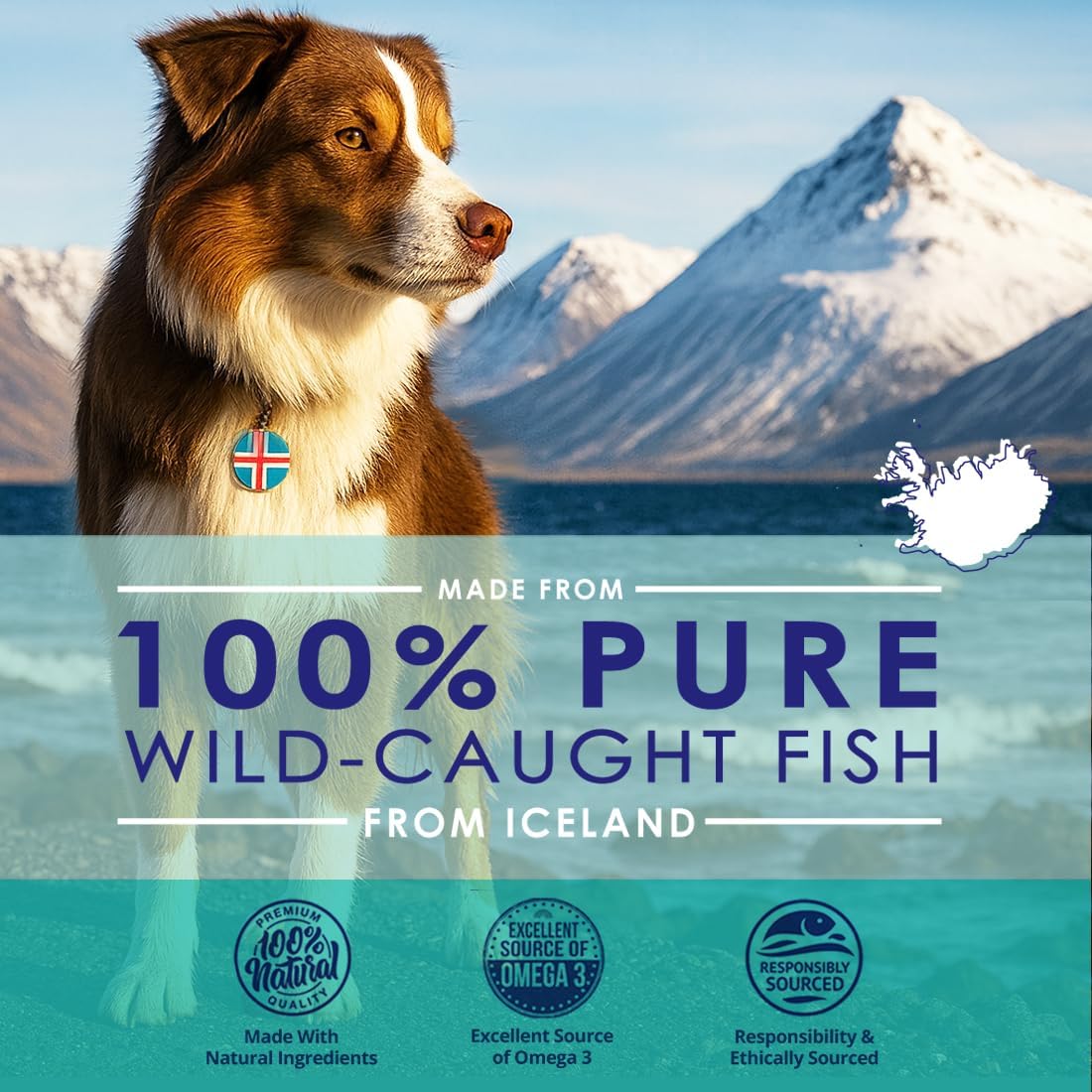 Liquid Fish Oil for Dogs with Omega 3, 6 & 9 Fatty Acids, Wild Caught from Iceland, Skin and Coat Supplement for Shedding, Itchy Skin, Allergies, Brain and Heart Health, Rich in EPA + DHA - 946 ml - görsel 2