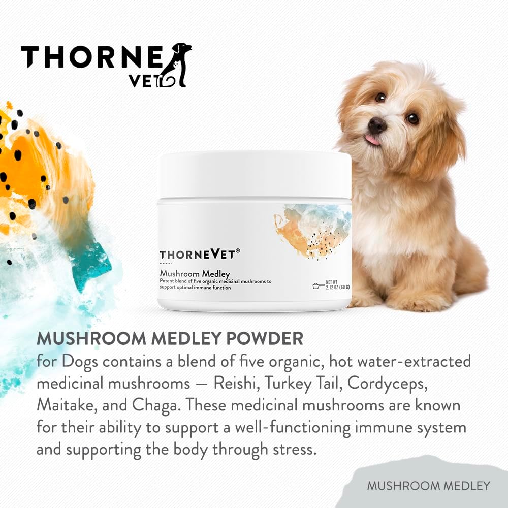 Mushroom Medley for Dogs - Immune Support Plus Antioxidants - with Reishi, Turkey Tail, Cordyceps, Maitake, and Chaga Mushrooms - Support for Dogs with Compromised Immunity - 120 Scoops - görsel 3